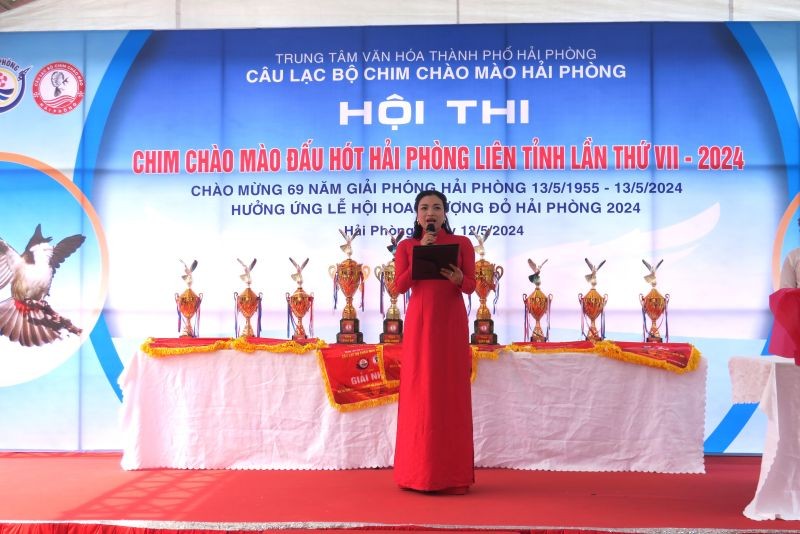 Hội thi chim đấu hót - phong trào và những rủi ro pháp lý tiềm ẩn
