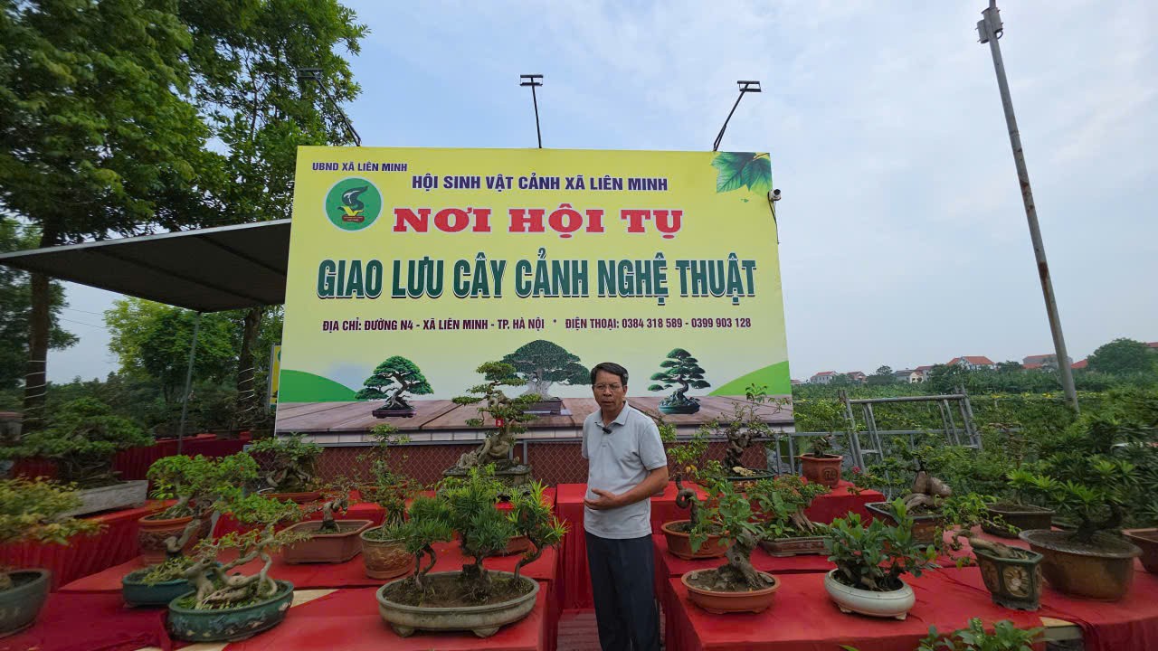 Chợ cây cảnh xã Liên Minh, TP Hà Nội - nơi hội tụ giao lưu