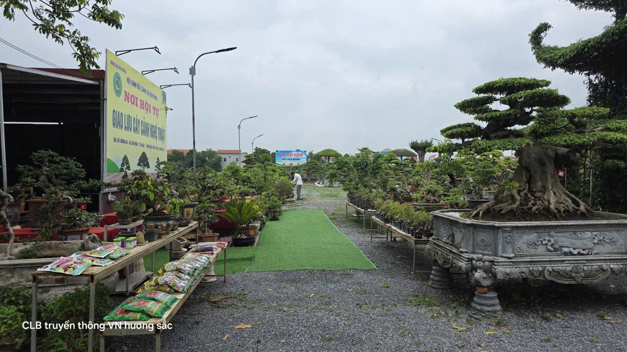 Chợ cây cảnh xã Liên Minh, TP Hà Nội - nơi hội tụ giao lưu