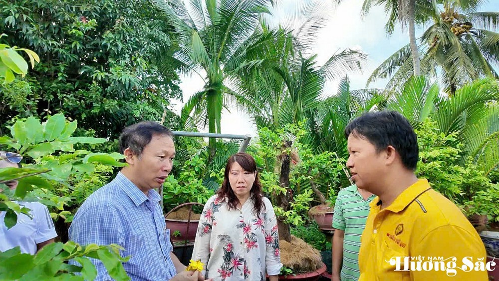 PGS.TS.Đặng Văn Đông - Viện Nghiên cứu Rau quả và bà Hồ Thị Diệp Thúy, nguyên PGĐ Sở Khoa học - Công nghệ tỉnh Long An thăm quan vườn mai vàng và giống Trần Hữu Thiết và câu chuyện mai thiết trên đất phương Nam