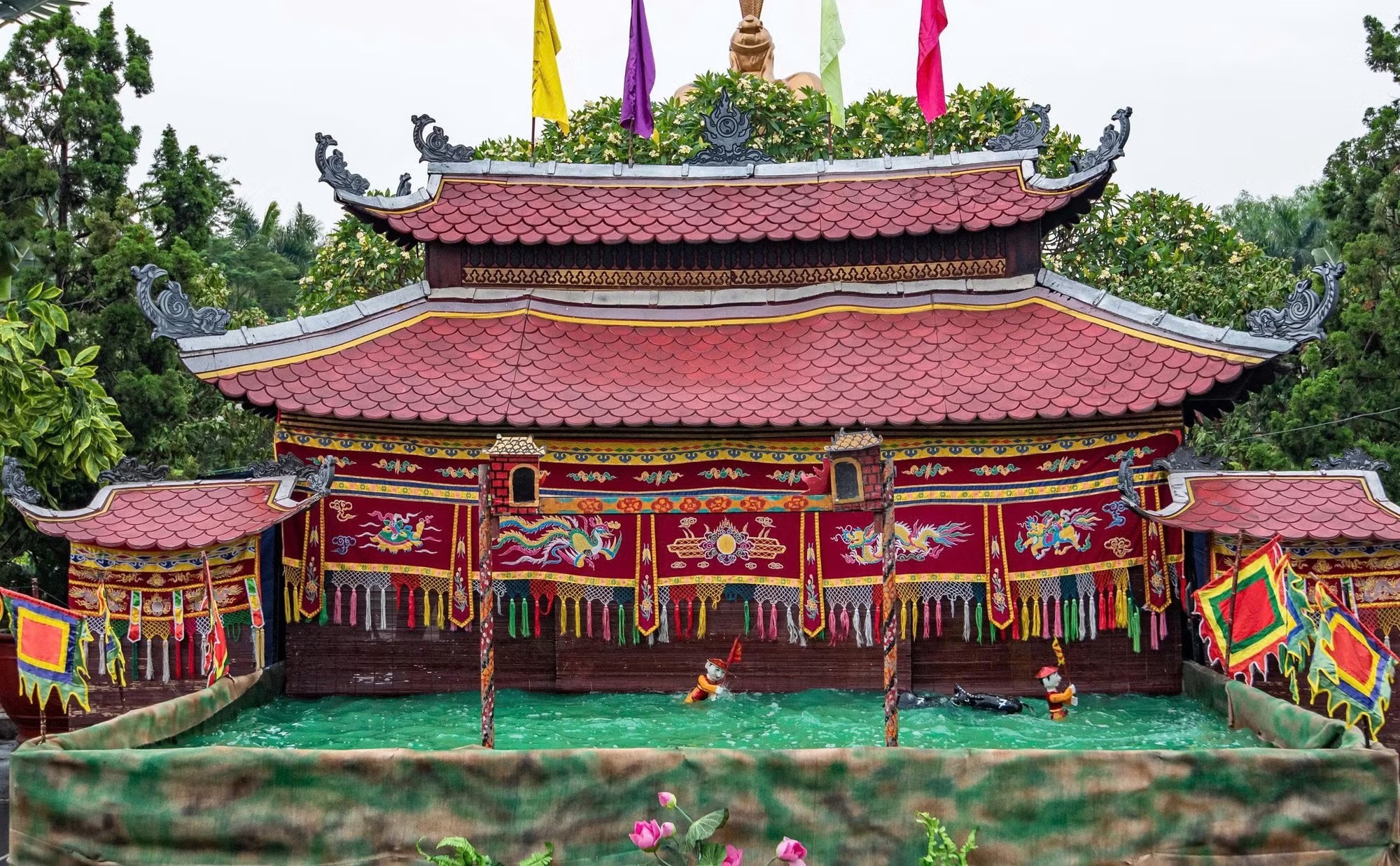 Vì sao nhiều nơi trồng phượng nhưng chỉ Hải Phòng trở thành “thành phố hoa phượng đỏ”?