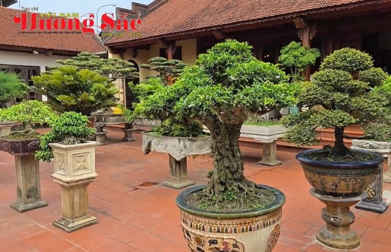 Nhà vườn sinh thái Đầm Bạc - nơi bonsai, cổ vật và kiến trúc truyền thống hòa làm một