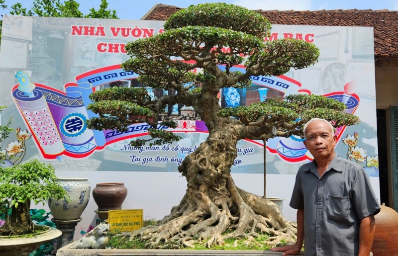 Cây cảnh và cơn sốt định giá: Điều đáng lo không phải là những giao dịch tiền tỷ
