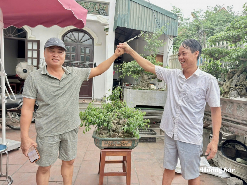 Tăng cường giao lưu, trao đổi kinh nghiệm nghệ thuật bonsai tại Hưng Yên Tăng cường giao lưu, trao đổi kinh nghiệm nghệ thuật bonsai tại Hưng Yên