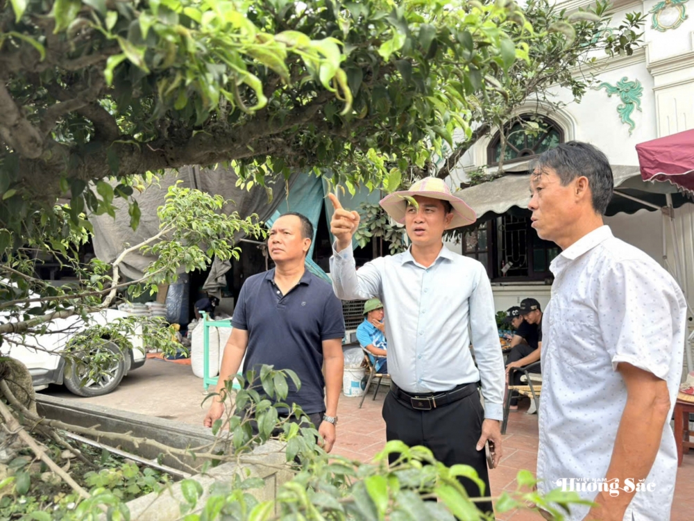 Tăng cường giao lưu, trao đổi kinh nghiệm nghệ thuật bonsai tại Hưng Yên Tăng cường giao lưu, trao đổi kinh nghiệm nghệ thuật bonsai tại Hưng Yên