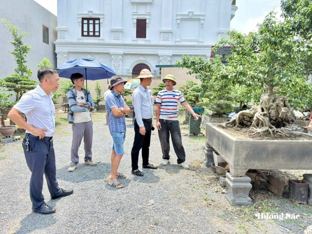 Tăng cường giao lưu, trao đổi kinh nghiệm nghệ thuật bonsai tại Hưng Yên Tăng cường giao lưu, trao đổi kinh nghiệm nghệ thuật bonsai tại Hưng Yên