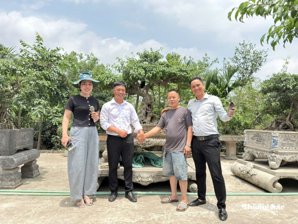 Tăng cường giao lưu, trao đổi kinh nghiệm nghệ thuật bonsai tại Hưng Yên Tăng cường giao lưu, trao đổi kinh nghiệm nghệ thuật bonsai tại Hưng Yên