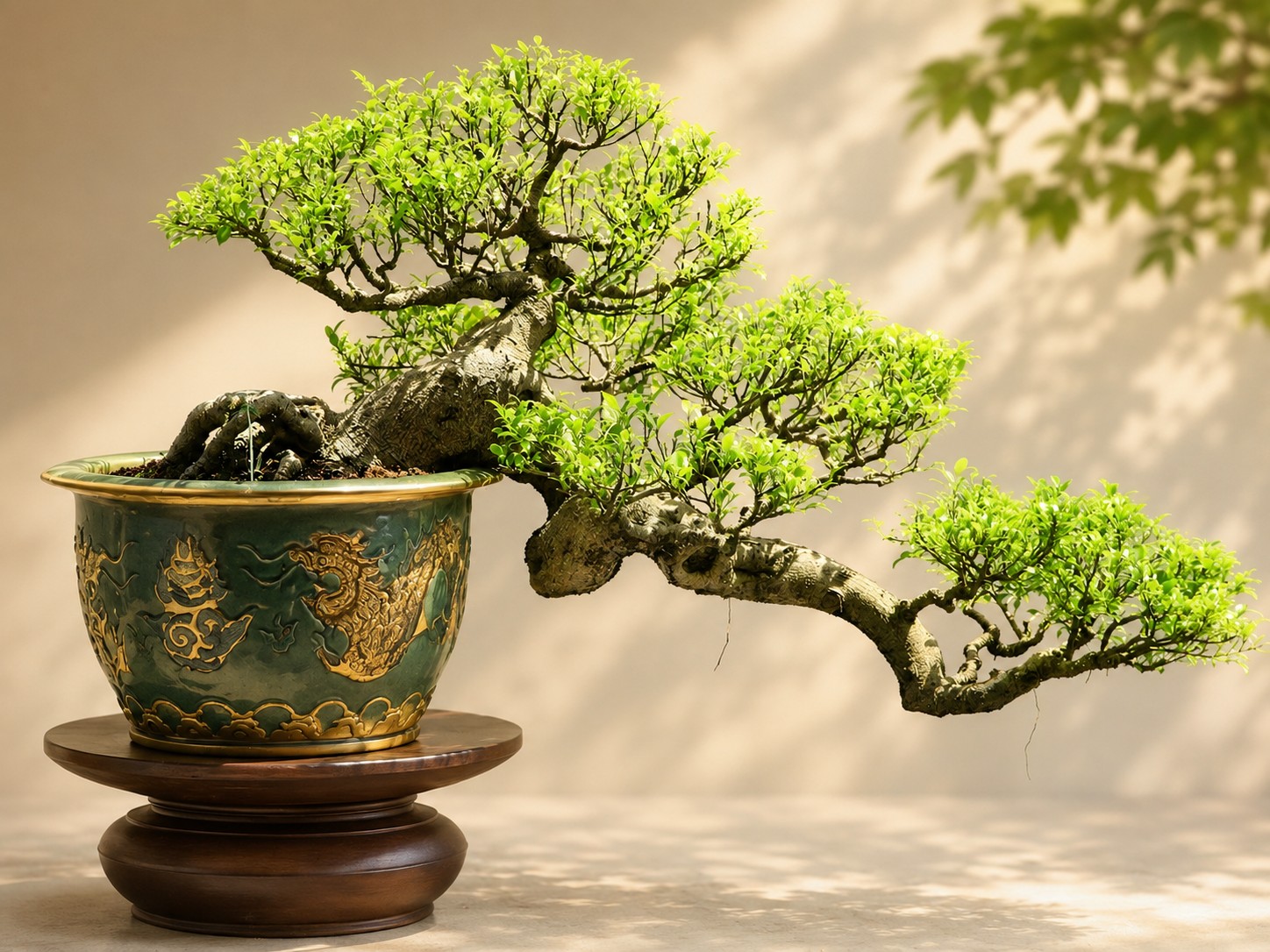 Từ thiên nhân hợp nhất đến tận thiện tận mỹ: 4 giá trị Nho gia làm nên chiều sâu bonsai Á Đông