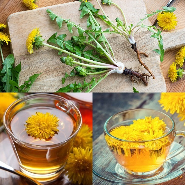 Loại rau mọc đầy ở Việt Nam lại được ví là ‘thần dược’ tự nhiên, vừa làm rau vừa pha trà cực tốt cho sức khỏe Loại rau mọc đầy ở Việt Nam lại được ví là ‘thần dược’ tự nhiên, vừa làm rau vừa pha trà cực tốt cho sức khỏe
