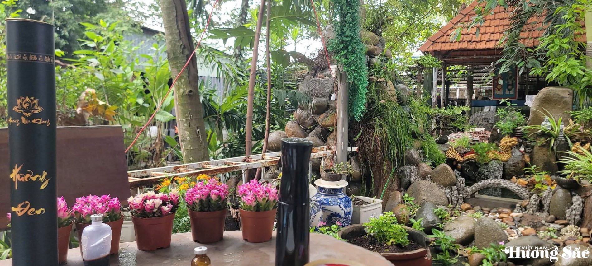 Trước cổng vào trang trại gà kiển của anh Lương Minh Quang là khuôn viên được thiets kế khá đẹp amwst bởi cây cảnh, hoa và đá, tạo nên Trước cổng vào trang trại gà kiển của anh Lương Minh Quang là khuôn viên được thiets kế khá đẹp amwst bởi cây cảnh, hoa và đá, tạo nên