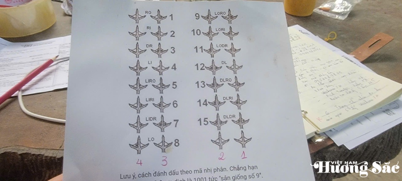 Trên nền tảng kỹ thuật số dùng mã nhị phân để xử lý các chỉ thị và hoạt động có hiệu suất của trang trại gà Trên nền tảng kỹ thuật số dùng mã nhị phân để xử lý các chỉ thị và hoạt động có hiệu suất của trang trại gà