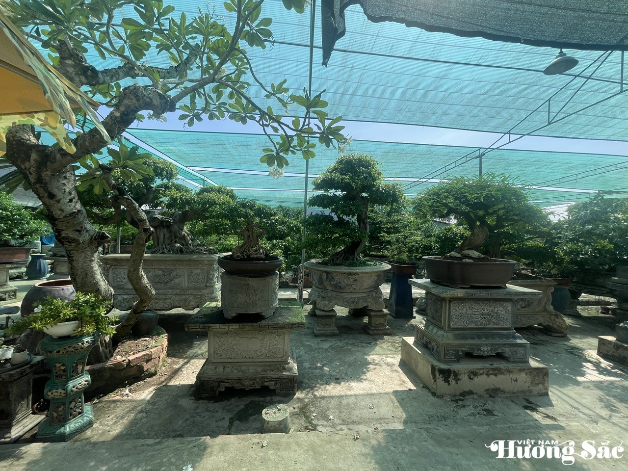 Một góc nhà vườn Lâm Minh Trí Một góc nhà vườn Lâm Minh Trí