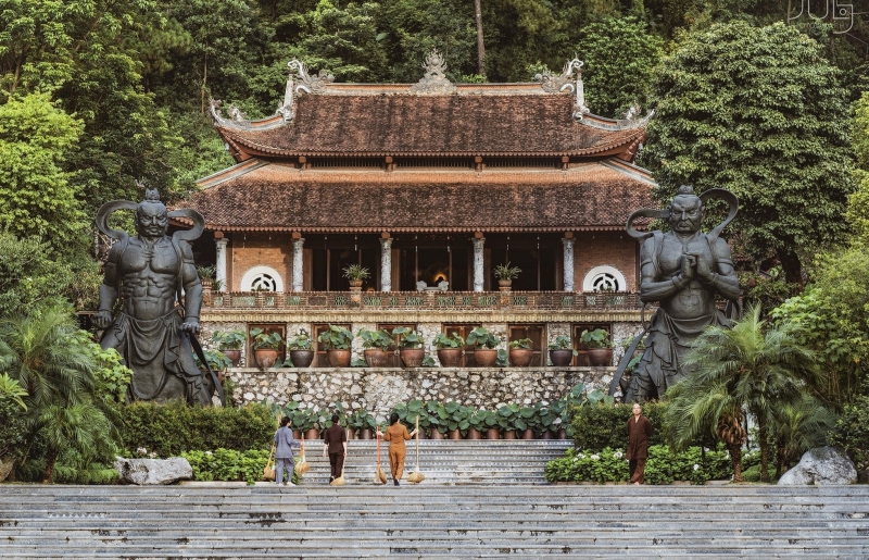 Cây cảnh, hoa cỏ và tinh thần gieo trồng phước lành của nhà Phật