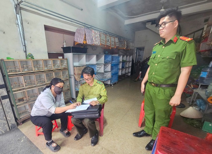 Phát hiện nhiều loài chim quý bị nuôi nhốt không rõ nguồn gốc hợp pháp