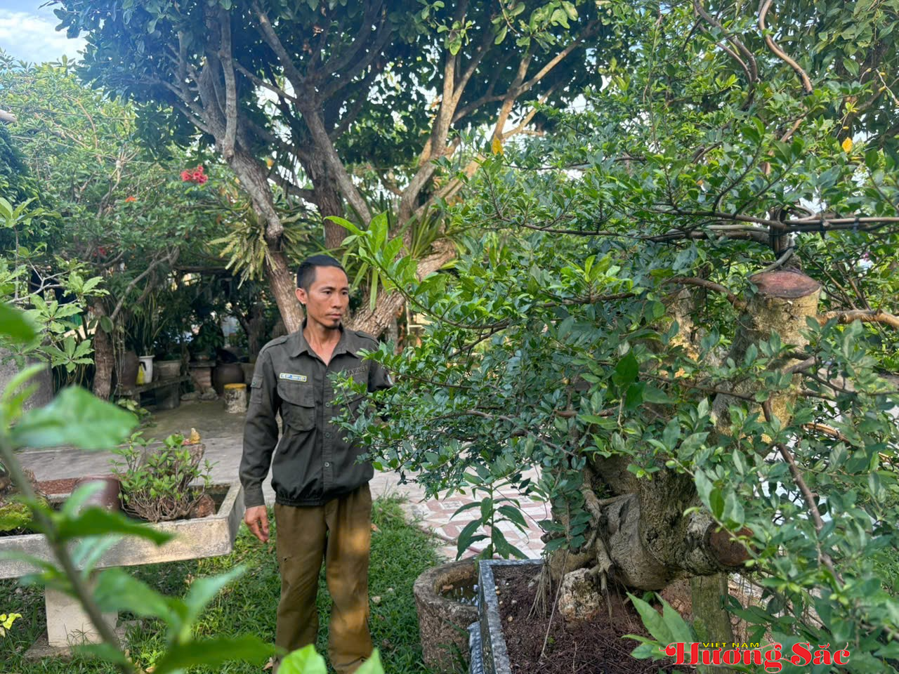 Chơi cây bonsai: Khi người yêu cây gửi cả tâm tình vào từng dáng thế Chơi cây bonsai: Khi người yêu cây gửi cả tâm tình vào từng dáng thế