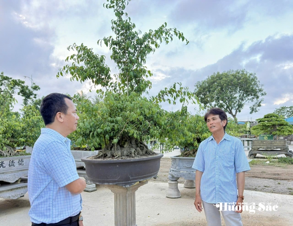 Sầm Sơn: Điểm đến giao lưu cây cảnh nghệ thuật bonsai Sầm Sơn: Điểm đến giao lưu cây cảnh nghệ thuật bonsai