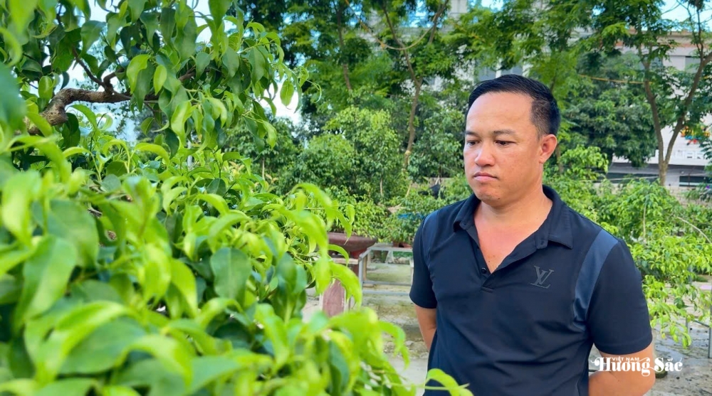 Sầm Sơn: Điểm đến giao lưu cây cảnh nghệ thuật bonsai Sầm Sơn: Điểm đến giao lưu cây cảnh nghệ thuật bonsai
