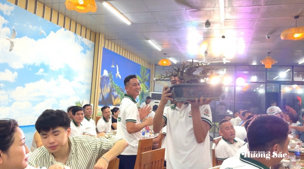 Sầm Sơn: Điểm đến giao lưu cây cảnh nghệ thuật bonsai Sầm Sơn: Điểm đến giao lưu cây cảnh nghệ thuật bonsai