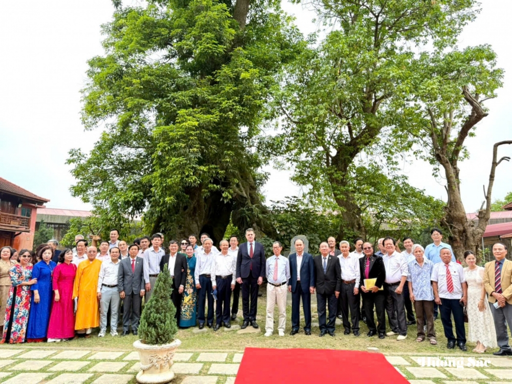 Cây Nhội Di sản: Biểu tượng của sự giao hòa văn hóa và thiên nhiên Cây Nhội Di sản: Biểu tượng của sự giao hòa văn hóa và thiên nhiên