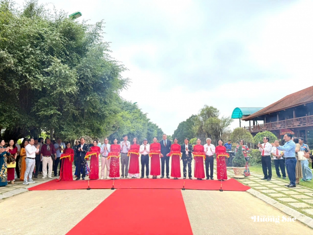 Cây Nhội Di sản: Biểu tượng của sự giao hòa văn hóa và thiên nhiên Cây Nhội Di sản: Biểu tượng của sự giao hòa văn hóa và thiên nhiên