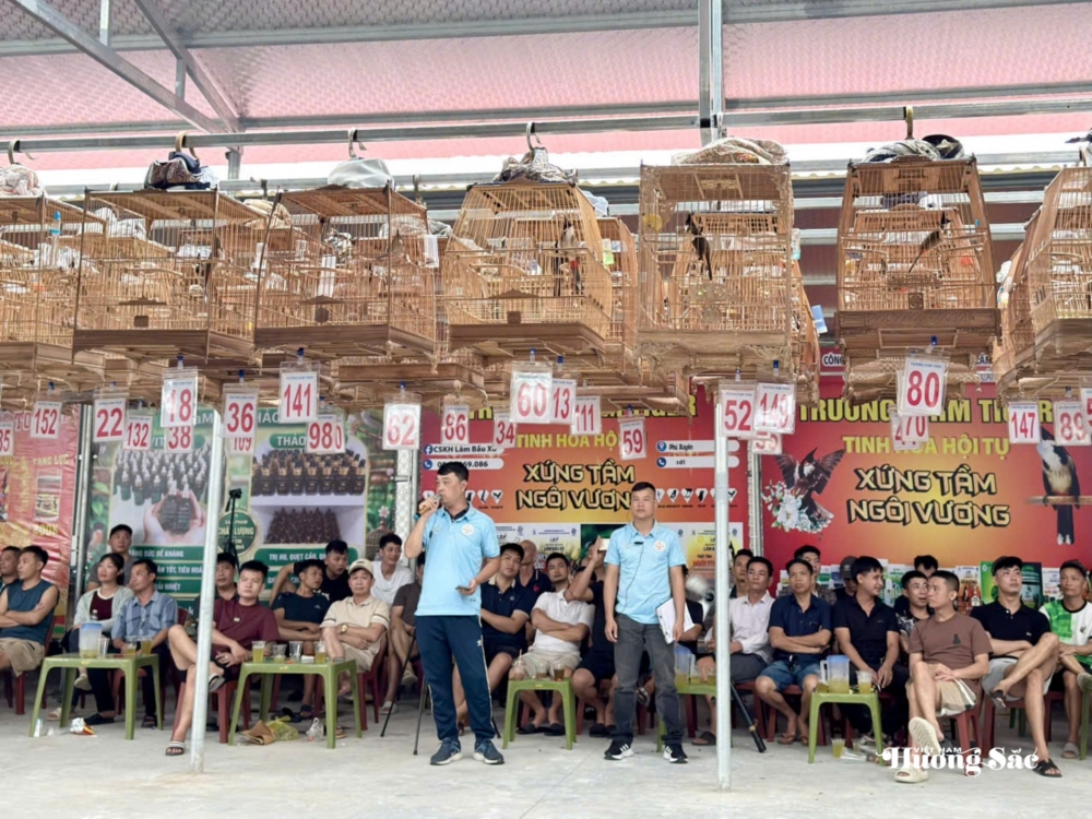 Hội thi tiếng hót chim Chào mào năm 2026: Lan tỏa thú chơi văn minh, gắn kết cộng đồng yêu chim cảnh