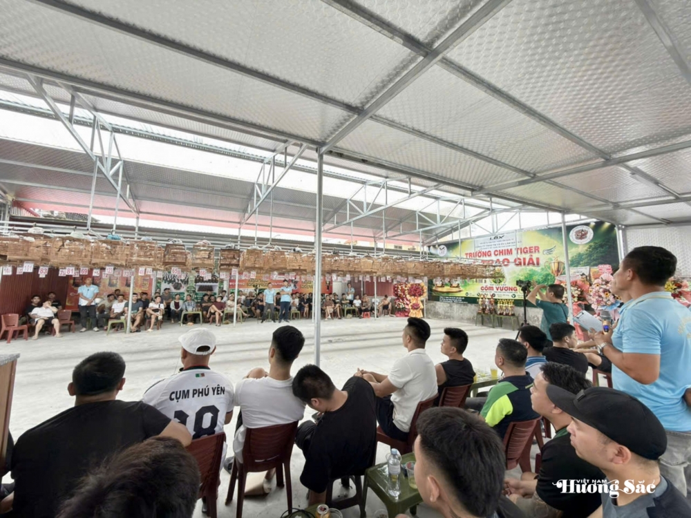 Hội thi tiếng hót chim Chào mào năm 2026: Lan tỏa thú chơi văn minh, gắn kết cộng đồng yêu chim cảnh