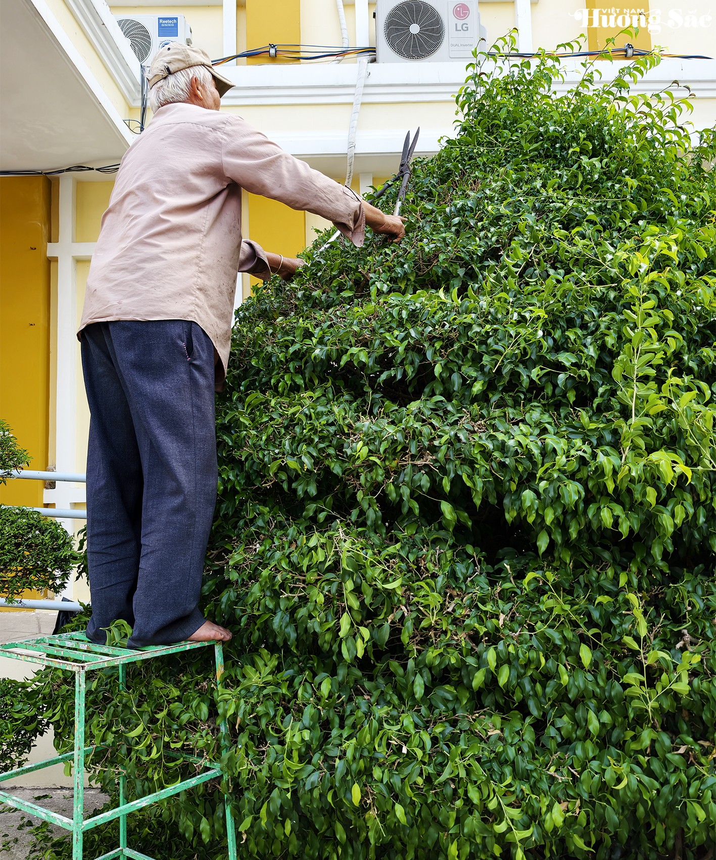 Trong thời đại AI, vì sao nghề làm vườn lại càng đáng quý và không thể bị thay thế?