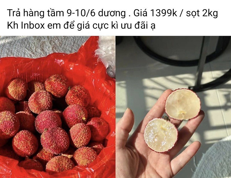 Vải thiều Trung Quốc vào mùa: Logistics chuỗi lạnh mở đường cho những cánh đồng tỷ đồng Vải thiều Trung Quốc vào mùa: Logistics chuỗi lạnh mở đường cho những cánh đồng tỷ đồng