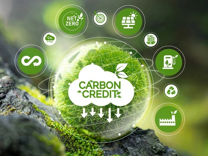 Mua bán tín chỉ carbon rừng, ai sẽ được tham gia giao dịch tín chỉ carbon? Mua bán tín chỉ carbon rừng, ai sẽ được tham gia giao dịch tín chỉ carbon?