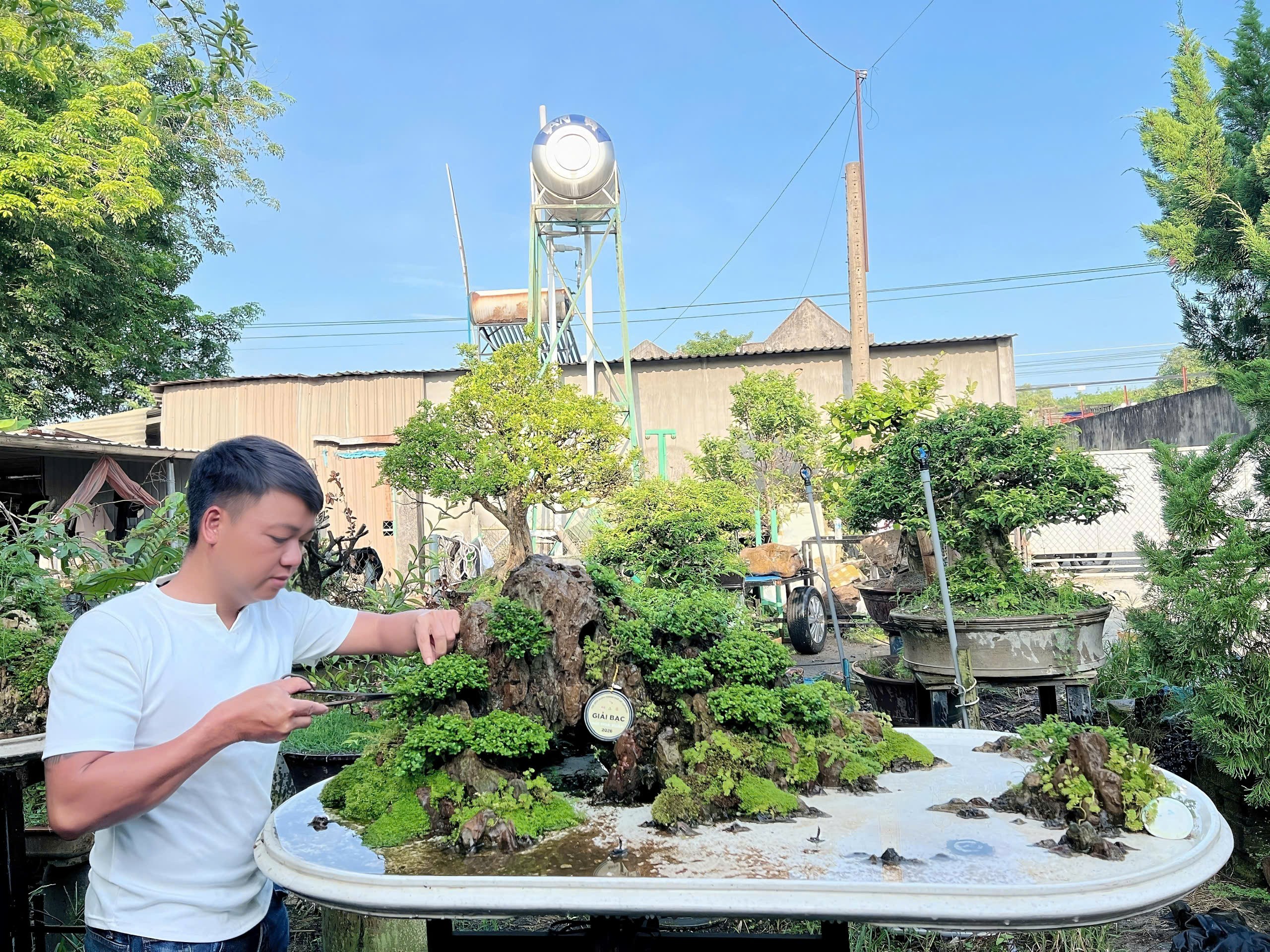 Từ bonsai đến niềm đam mê đá cảnh: Hành trình bén duyên đầy cảm xúc của nghệ nhân trẻ Đặng Anh Tuấn Từ bonsai đến niềm đam mê đá cảnh: Hành trình bén duyên đầy cảm xúc của nghệ nhân trẻ Đặng Anh Tuấn