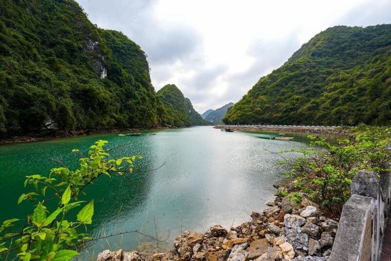Làng Việt Hải: Ngôi làng di sản xanh trăm năm giữa đại ngàn Cát Bà hút khách quốc tế Làng Việt Hải: Ngôi làng di sản xanh trăm năm giữa đại ngàn Cát Bà hút khách quốc tế