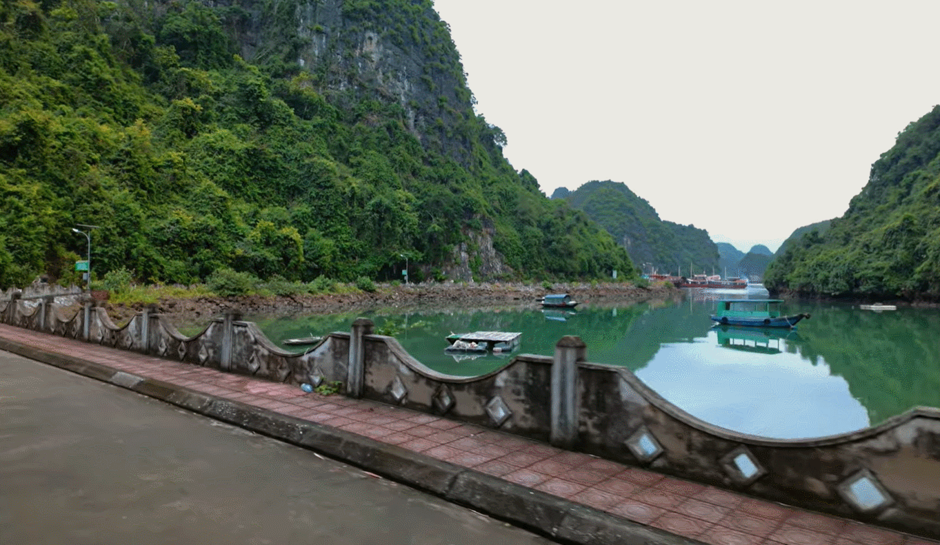 Làng Việt Hải: Ngôi làng di sản xanh trăm năm giữa đại ngàn Cát Bà hút khách quốc tế Làng Việt Hải: Ngôi làng di sản xanh trăm năm giữa đại ngàn Cát Bà hút khách quốc tế