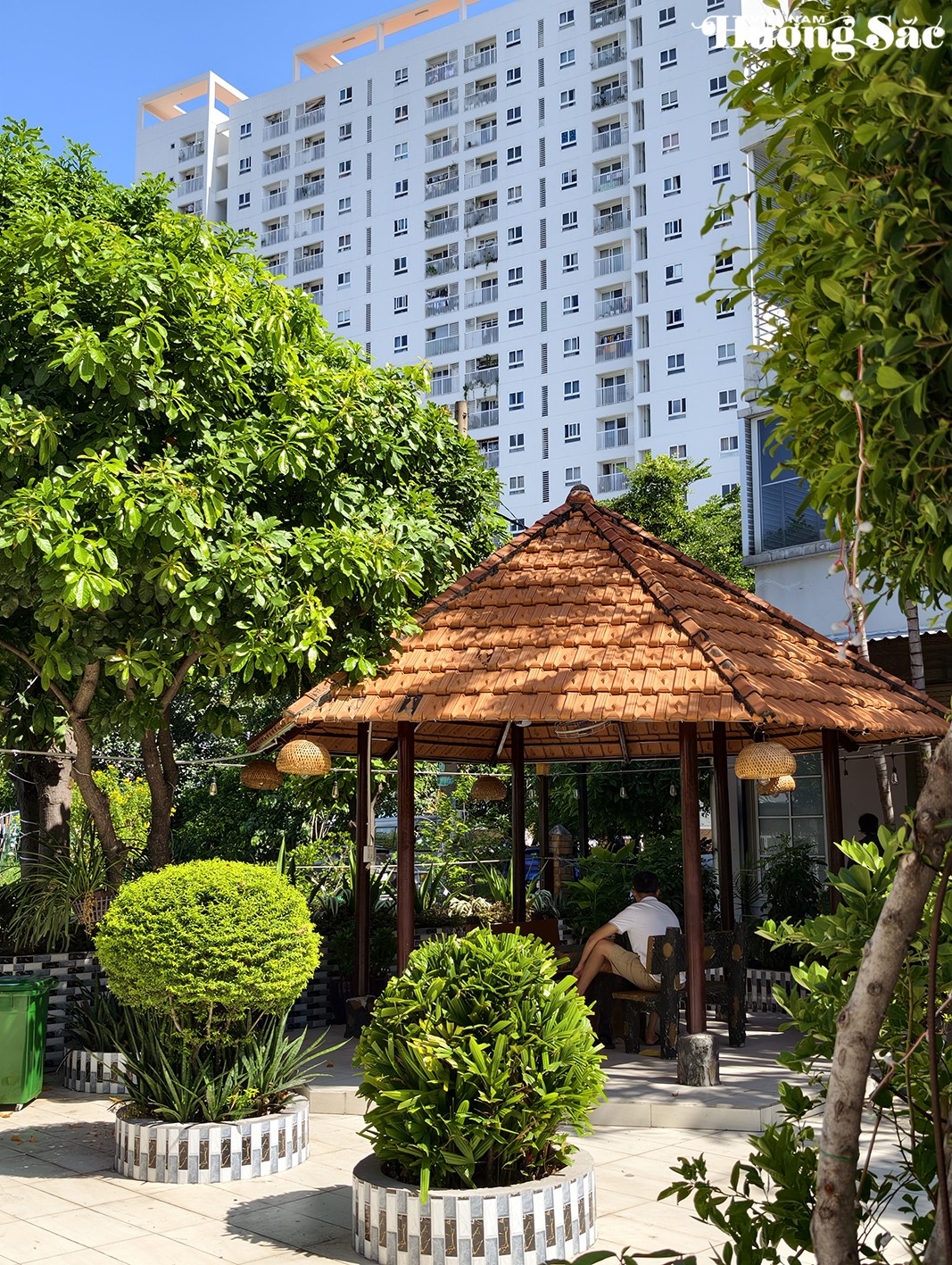 Mô hình công viên tự quản tại Bình Hưng: Điểm sáng từ sức mạnh lòng dân Mô hình công viên tự quản tại Bình Hưng: Điểm sáng từ sức mạnh lòng dân