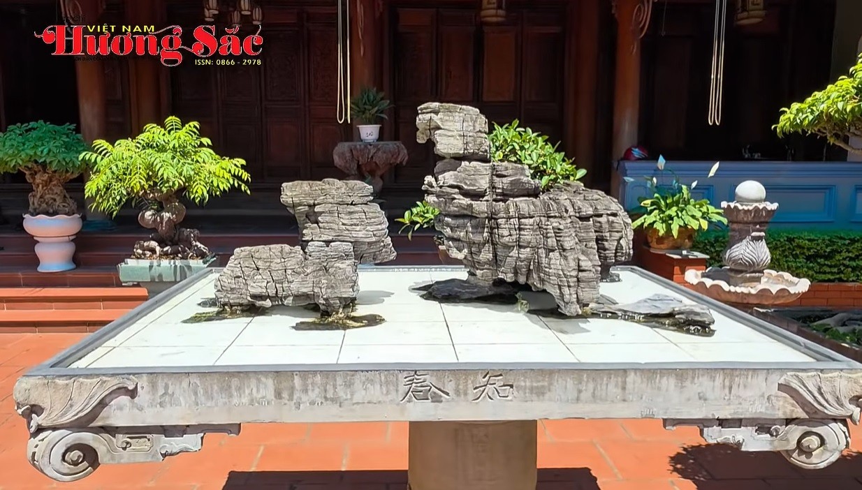 Đá cũng có đôi, cây cũng có hồn trong khu vườn của nghệ nhân Nguyễn Mạnh Tiến Đá cũng có đôi, cây cũng có hồn trong khu vườn của nghệ nhân Nguyễn Mạnh Tiến