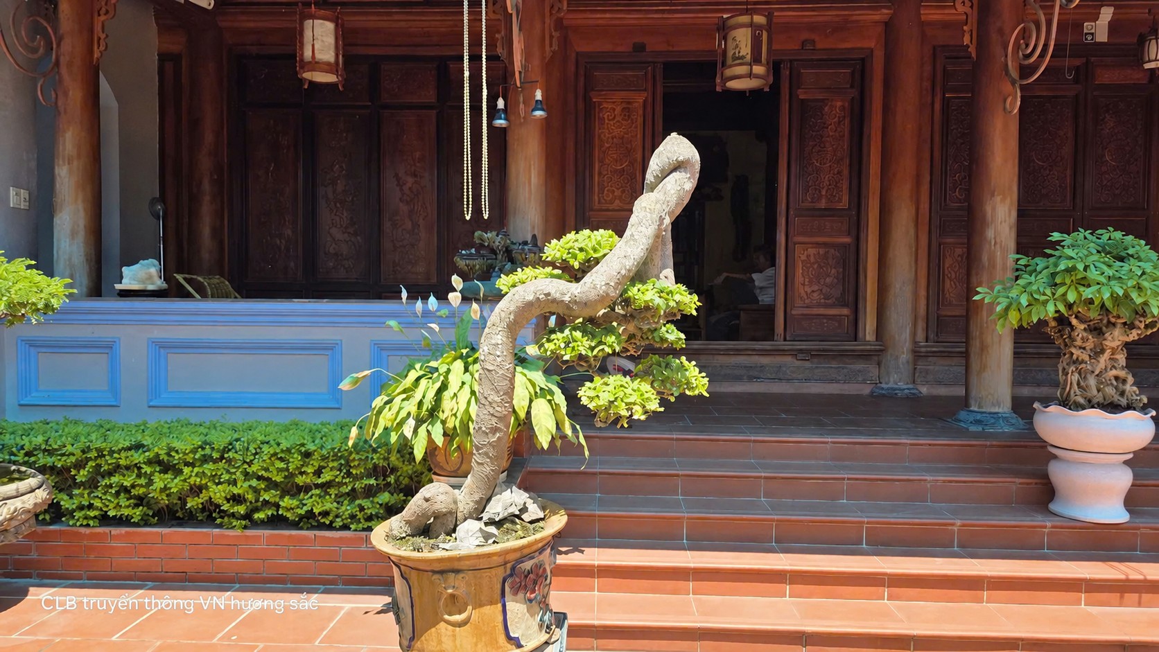 Đá cũng có đôi, cây cũng có hồn trong khu vườn của nghệ nhân Nguyễn Mạnh Tiến Đá cũng có đôi, cây cũng có hồn trong khu vườn của nghệ nhân Nguyễn Mạnh Tiến