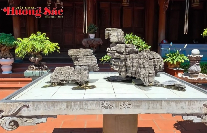 Đá cũng có đôi, cây cũng có hồn trong khu vườn của nghệ nhân Nguyễn Mạnh Tiến