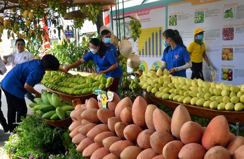 Sắp diễn ra Lễ hội Trái cây Đồng Tháp lần thứ nhất: Đánh thức tiềm năng “Miền trái ngọt”