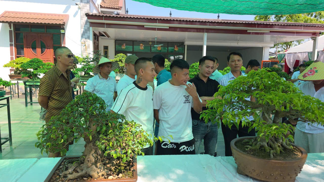 Thái Nguyên thành lập Câu lạc bộ Bonsai, ra mắt không gian kết nối người yêu cây cảnh Thái Nguyên thành lập Câu lạc bộ Bonsai, ra mắt không gian kết nối người yêu cây cảnh