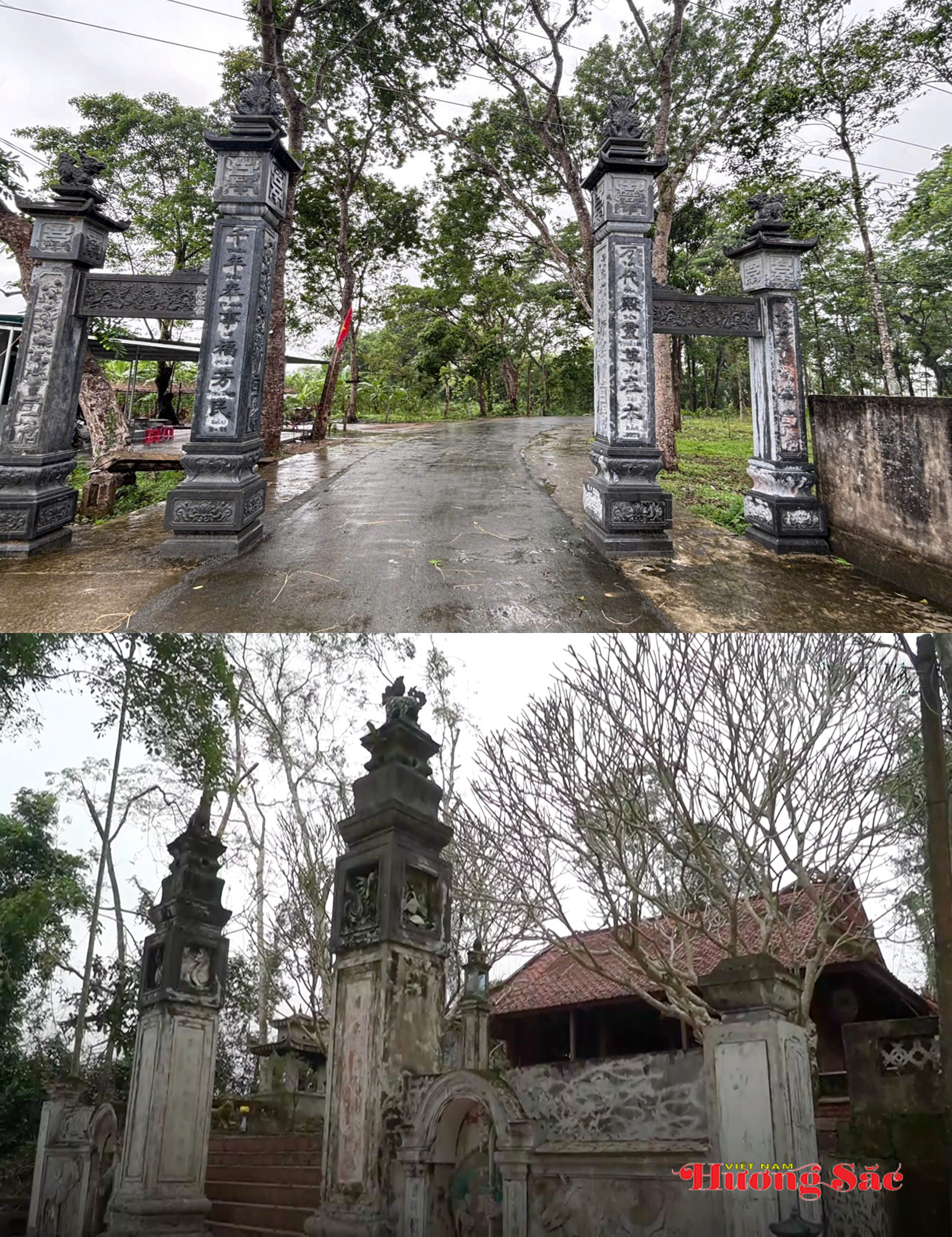Hà Tĩnh: Bảo tồn “báu vật thiên nhiên” cây trầm hương tổ hơn 5 thế kỷ Hà Tĩnh: Bảo tồn “báu vật thiên nhiên” cây trầm hương tổ hơn 5 thế kỷ