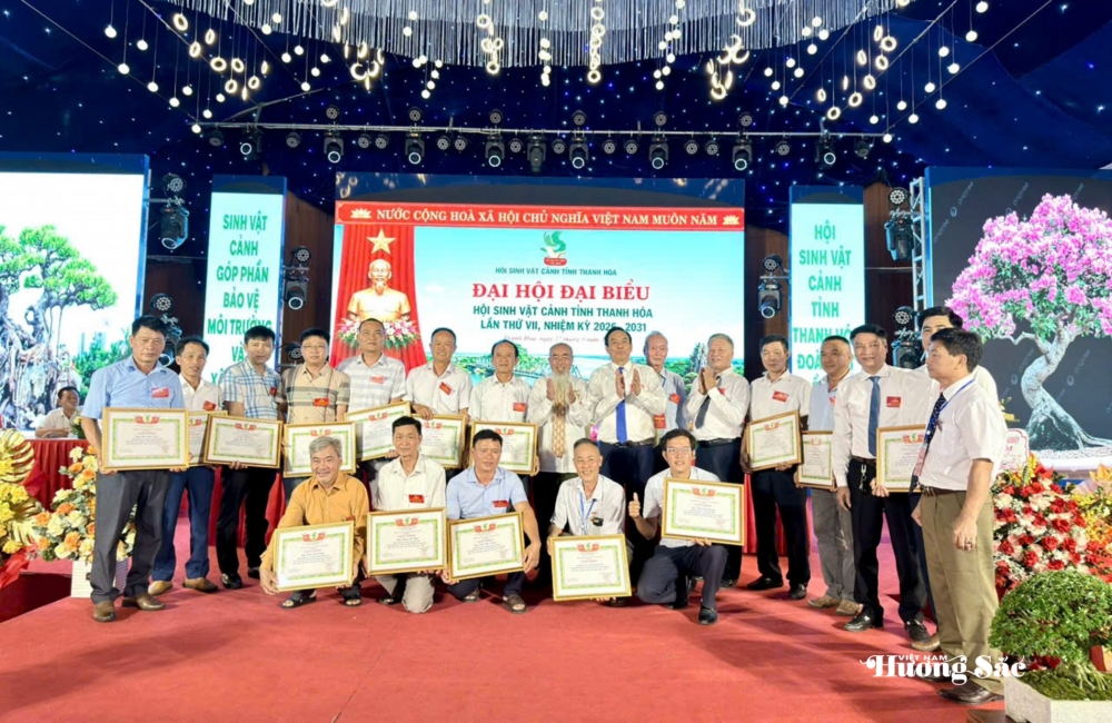 Đại hội Đại biểu Hội SVC tỉnh Thanh Hóa: Đoàn kết, dân chủ, đổi mới, phát triển Đại hội Đại biểu Hội SVC tỉnh Thanh Hóa: Đoàn kết, dân chủ, đổi mới, phát triển