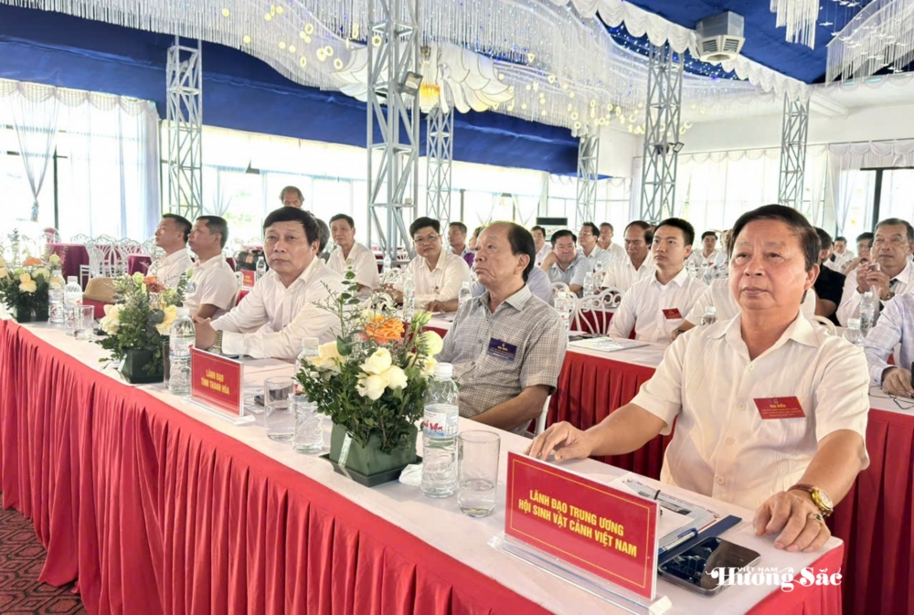 Đại hội Đại biểu Hội SVC tỉnh Thanh Hóa: Đoàn kết, dân chủ, đổi mới, phát triển Đại hội Đại biểu Hội SVC tỉnh Thanh Hóa: Đoàn kết, dân chủ, đổi mới, phát triển