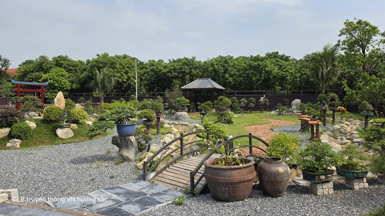 Không gian bonsai Nhật giữa lòng Hà Nội của nghệ nhân trẻ Trần Ngọc Tiến Không gian bonsai Nhật giữa lòng Hà Nội của nghệ nhân trẻ Trần Ngọc Tiến