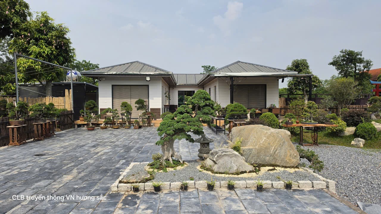 Không gian bonsai Nhật giữa lòng Hà Nội của nghệ nhân trẻ Trần Ngọc Tiến Không gian bonsai Nhật giữa lòng Hà Nội của nghệ nhân trẻ Trần Ngọc Tiến