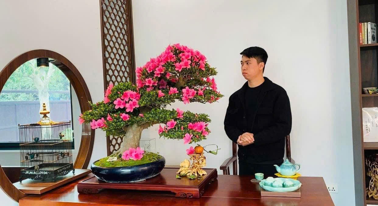 Không gian bonsai Nhật giữa lòng Hà Nội của nghệ nhân trẻ Trần Ngọc Tiến Không gian bonsai Nhật giữa lòng Hà Nội của nghệ nhân trẻ Trần Ngọc Tiến
