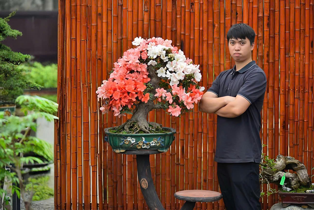 Không gian bonsai Nhật giữa lòng Hà Nội của nghệ nhân trẻ Trần Ngọc Tiến Không gian bonsai Nhật giữa lòng Hà Nội của nghệ nhân trẻ Trần Ngọc Tiến