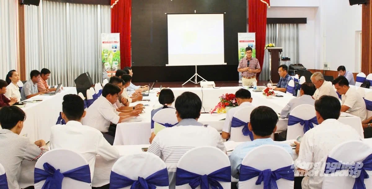 ĐBSCL tăng tốc chuyển giao công nghệ, xây dựng 1 triệu hecta lúa chất lượng cao phát thải thấp