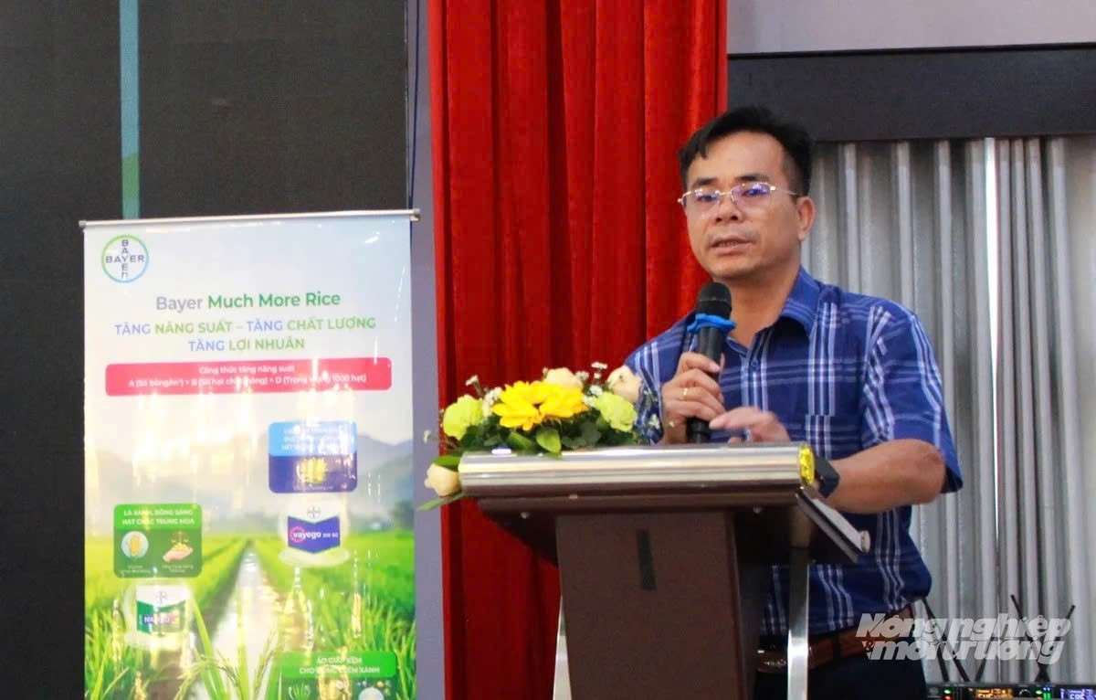 ĐBSCL tăng tốc chuyển giao công nghệ, xây dựng 1 triệu hecta lúa chất lượng cao phát thải thấp