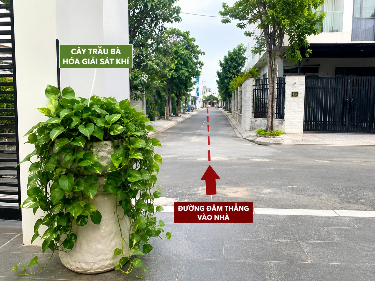 4 loại cây vừa làm đẹp cảnh quan vừa giúp giảm sát khí theo quan niệm phong thủy 4 loại cây vừa làm đẹp cảnh quan vừa giúp giảm sát khí theo quan niệm phong thủy