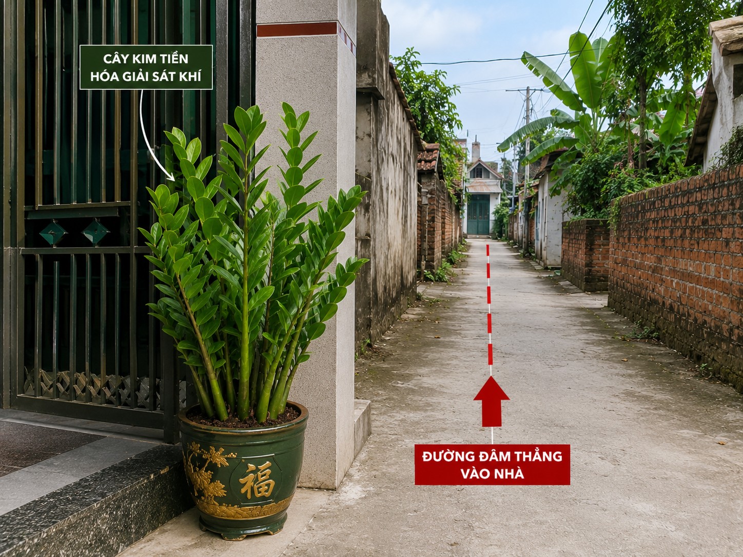 4 loại cây vừa làm đẹp cảnh quan vừa giúp giảm sát khí theo quan niệm phong thủy 4 loại cây vừa làm đẹp cảnh quan vừa giúp giảm sát khí theo quan niệm phong thủy