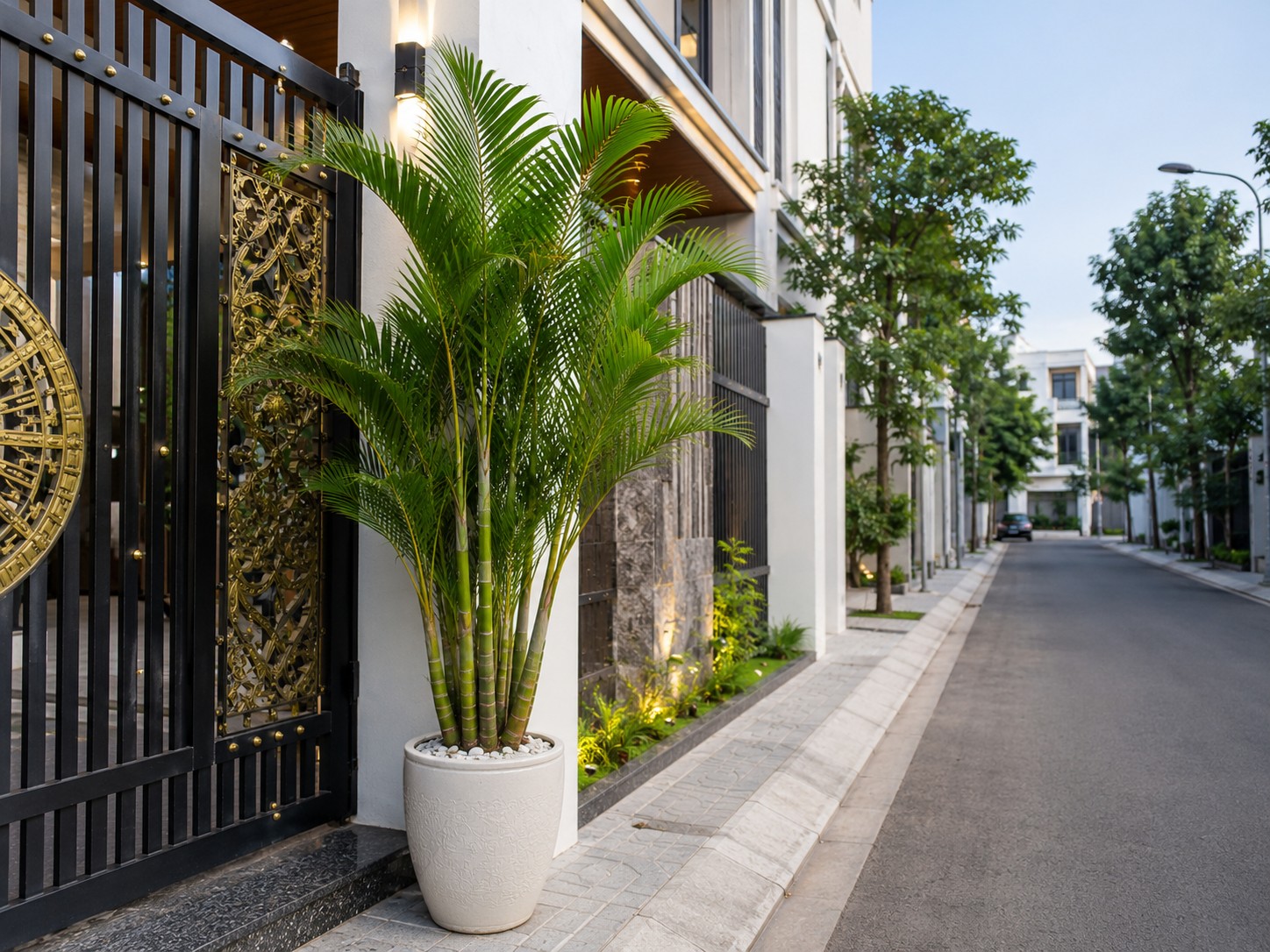 4 loại cây vừa làm đẹp cảnh quan vừa giúp giảm sát khí theo quan niệm phong thủy 4 loại cây vừa làm đẹp cảnh quan vừa giúp giảm sát khí theo quan niệm phong thủy